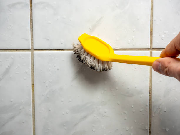 Best Mold Remediation  in Fourche Crossing, LA