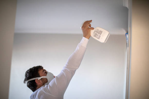 Best Attic Mold Removal  in Fourche Crossing, LA