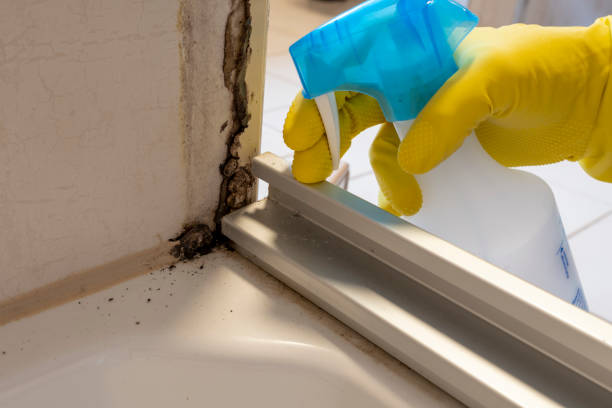 Best Mold Testing  in Fourche Crossing, LA