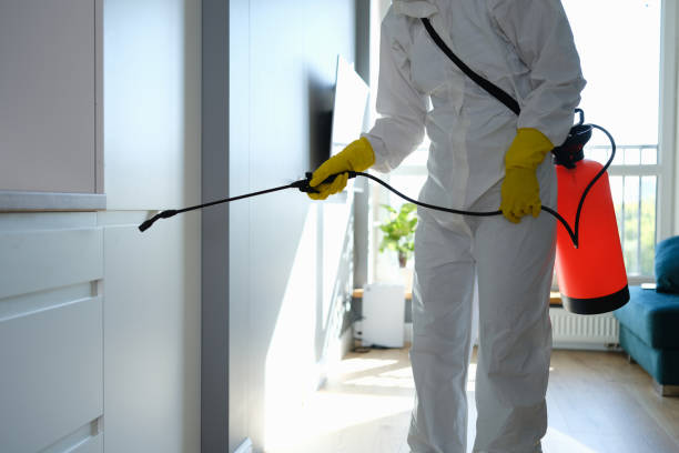 Best Certified Mold Removal  in Fourche Crossing, LA
