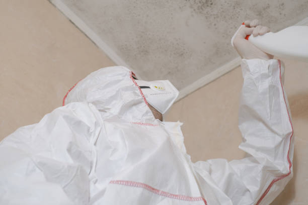 Best Professional Mold Removal  in Fourche Crossing, LA