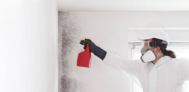 Best Mold Cleaning Services  in Fourche Crossing, LA