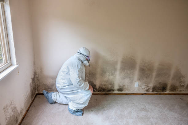 Best Mold Removal Near Me  in Fourche Crossing, LA