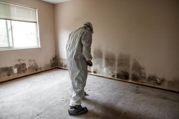 Best Mold Testing  in Fourche Crossing, LA