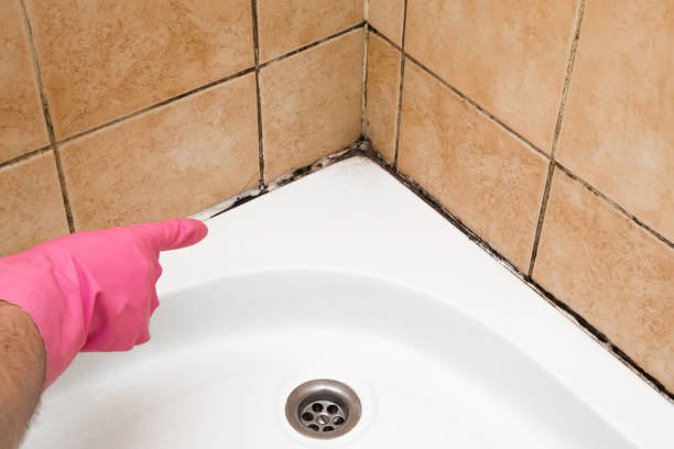 Best Mold Testing  in Fourche Crossing, LA